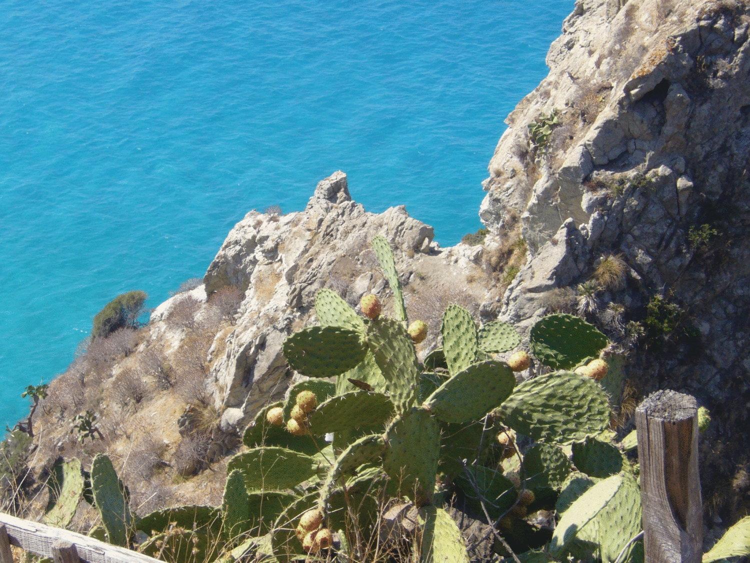 Hotel Virgilio Tropea Exterior foto